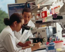 lab-testing